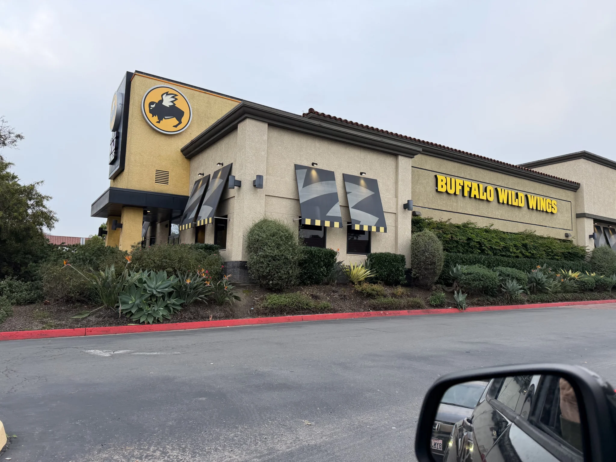 Buffalo Wild Wings happy hour in Point Loma, San Diego